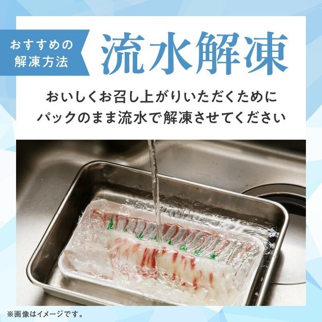 大和サーモン(サクラマス)のお造り 宮崎の美味を味わう4人前 N072-YA1101