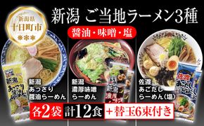 新潟 ご当地ラーメン 3種 あっさり醤油 濃厚味噌 佐渡あごだしらーめん 計12食 替え玉付き 乾麺 詰め合わせしょうゆ みそ しお らーめん ギフト 松代そば善屋 新潟県 十日町市 麺類 コシ こだわり 本格的 簡単 