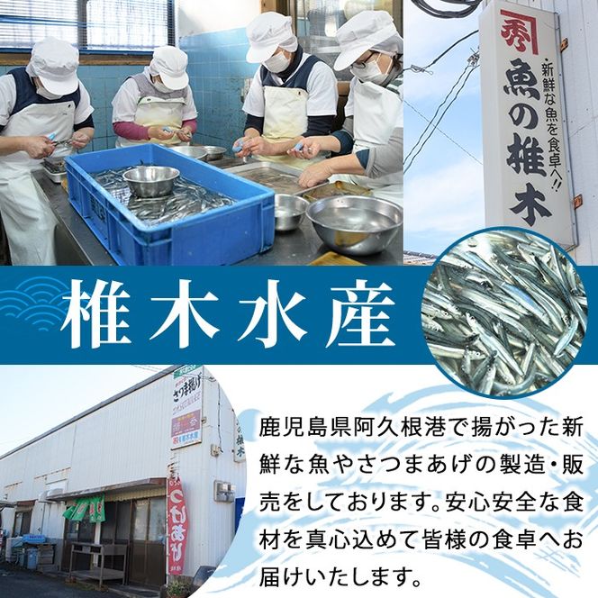 ＜6回定期便＞鹿児島県産！阿久根のきびなごお刺身セット (計1680尾・40尾×7パック×6回) 冷凍 魚介類 海鮮 魚 きびなご キビナゴ 刺身 さしみ 刺し身 青魚 子魚 小分け 定期便 阿久根市産 国産 【椎木水産】akn054-19