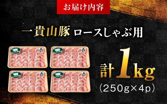 yszMR [Xԗp v1kg(250g×4p) s / q ؓ Ⓚ[AGB045] ؓ  uh MR |[N [X XCX 250g 