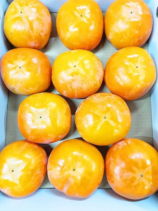 【2026年先行予約】【ご家庭用訳あり】 和歌山秋の味覚 平核無柿（ひらたねなしがき）約3.5kg