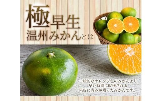 【先行予約】＼ 選べる容量 ／ 訳あり 極早生温州みかん 2S～3L サイズおまかせ 【2024年9月下旬から10月中旬までに順次発送】 / くだもの フルーツ 果物 大容量 家庭用 人気 みかん 蜜柑 わけあり 極早生みかん ごくわせ 数量限定【njb691_cho】