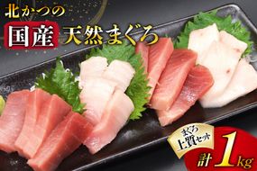 北かつのマグロ上質セット (マグロ中トロ 200g マグロ上質赤身 200g×2 メカジキ 200g びんちょう 200g）合計1kg [北かつ商事 宮城県 気仙沼市 20563511] 魚 鮪 マグロ トロ 中トロ まぐろ 赤身 刺身 魚介類 魚介 新鮮 高級 メカジキ メバチ めばち 冷凍 