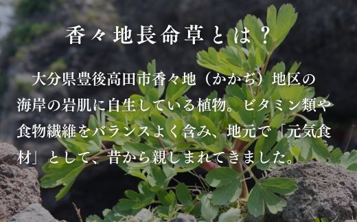 D2-14 長命草のチカラ 24本入り 1箱 機能性表示食品