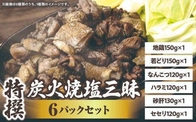 特撰 塩三昧 6パックセット