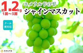 シャインマスカット 有田巨峰村 1.2kg ( 1房 ～ 3房 ) 和歌山県産  【みかんの会】AX283 
