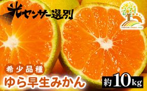 【先行予約】ゆら早生 みかん 濃厚な味わい 約10kg 希少品種《有機質肥料100％》極早生 ｜ 由良 ゆら 早生 わせ 柑橘 果物 くだもの フルーツ 和歌山 有田