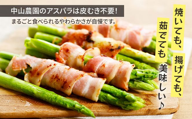 【2026年春発送】富良野産 アスパラ 約1kg 細め (サイズ混合) 中山農園 アスパラガス 野菜