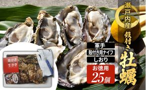 牡蠣 殻付き 小粒牡蠣 お徳用 約3kg 岡山県 瀬戸内市