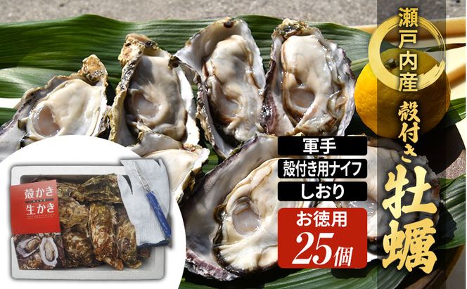 牡蠣 殻付き 小粒牡蠣 お徳用 約3kg 岡山県 瀬戸内市