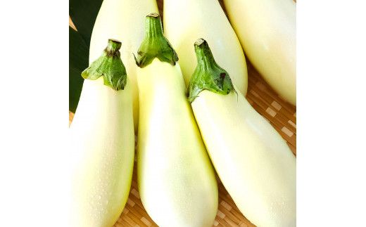 KYN003　先行予約 白ナス6本 - なす 茄子 1本180g以上 野菜 新鮮 美味しい グラタン シチュー ラタトゥイユ 洋食 和食 料理 お取り寄せ ふるさとのうぜい 故郷納税 6000円 返礼品 高知県 高知