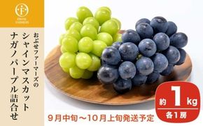 皮ごと食べられる長野県産ぶどう２種詰め合わせ シャインマスカット ＆ ナガノパープル 約1kg 各1房 ［おぶせファーマーズ］ 果物 フルーツ ぶどう 葡萄 冷蔵便 クール便 長野県産 信州産 食べ比べ 令和7年産 【2025年9月中旬〜10月上旬発送】 ［F-27］