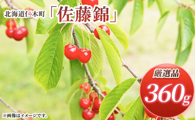 先行受付 北海道 仁木町産 さくらんぼ 佐藤錦 360g (180g×2パック)Lサイズ以上  旬 桜桃 産地直送 サクランボ チェリー フルーツ 果物 果物類 仁木町 仁木 [松山商店]