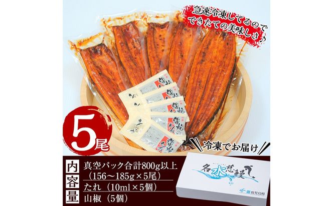 国産うなぎ蒲焼名水慈鰻5尾（合計800ｇ以上）b98-001