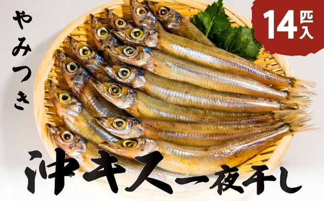 ふっくら柔らかい沖キスの一夜干し 14匹入 日本海 沖キス キス 一夜干し 干物 魚 ひもの おつまみ 日本酒 肴 珍味 ご飯のお供 魚貝類 