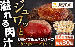 【全6回定期便】ジョイフル ハンバーグ スペシャル 詰め合わせ 2種 30個 セット《築上町》【株式会社　ジョイフル】[ABAA079]