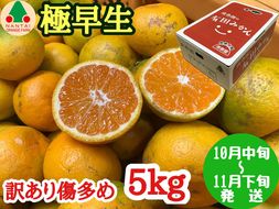 訳あり 傷多め 極早生 有田 みかん 5kg L～SS サイズおまかせ 南泰園 和歌山 有田みかん 	BS621