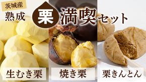 【 吉原農場 の 完熟栗 】熟成 栗 満喫 セット 令和7年産 栗の深雫 完熟  生むき栗 焼き栗 栗きんとん くり クリ 栗ごはん おかし お菓子 果物 フルーツ 数量限定 旬 秋 冬 正月 おせち [CX026ci]