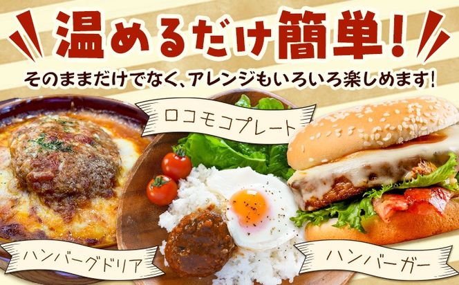 ハンバーグ 冷凍 惣菜 手ごね 煮込み ハンバーグ 4個セット ( デミグラス 和風 各2個 ) 社会福祉法人敬業会ヴィレッジ興産 ときわヴィレッジ《30日以内に出荷予定(土日祝除く)》岡山県 笠岡市 送料無料 惣菜 レトルト 冷凍 簡単---K-32---