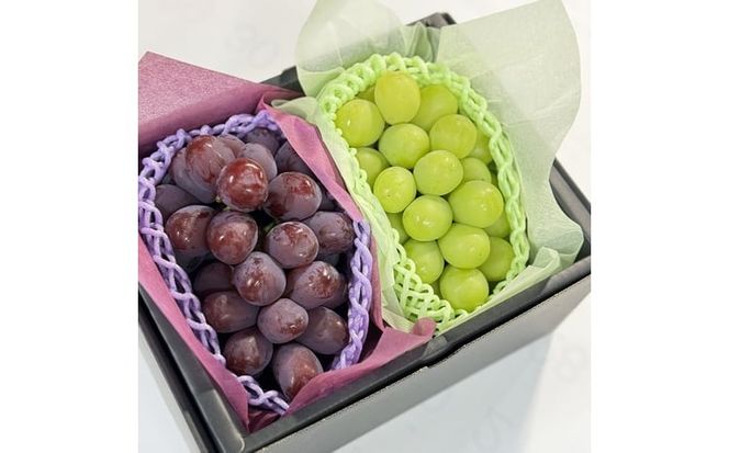 ぶどう 2026年 先行予約 話題の品種 富士の輝＆こだわりのシャインマスカット 贈答ランク 合計約1.2kg ブドウ 葡萄 岡山県産 国産 フルーツ 果物 ギフト 【 Nini farm 農家 直送 】 [№5735-3312]