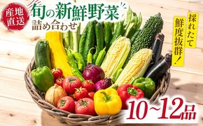 旬の新鮮 野菜詰め合わせセット（10品～12品）/ 野菜 やさい 野菜セット やさいセット 春野菜 夏野菜 秋野菜 冬野菜 旬新鮮 / 南島原市 /長崎県農産品流通合同会社[SCB094]