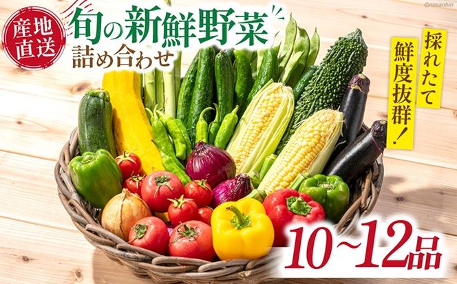 新鮮 「旬の野菜・フルーツ」 詰め合わせ セット（10品〜12品）/ 野菜 定期便 やさい 定期便 野菜セット やさいセット 春野菜 夏野菜 秋野菜 冬野菜 旬新鮮 / 南島原市 /長崎県農産品流通合同会社[SCB094]