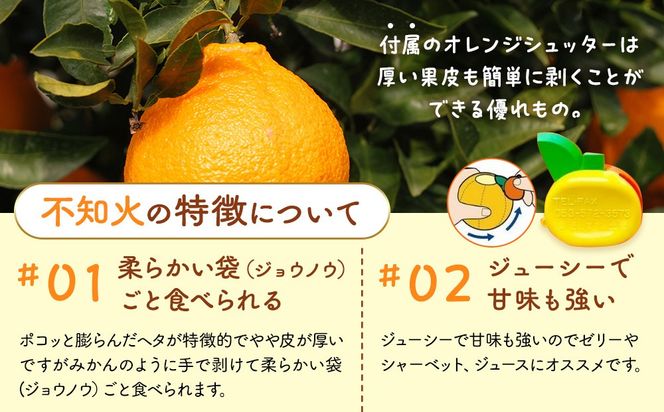 不知火 訳あり それでも 有田の不知火 箱込 7.5kg(内容量約 6.8kg) サイズミックス 和歌山県産 産地直送 【みかんの会】	AX143