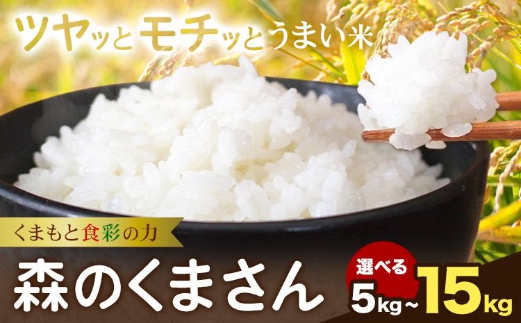 令和7年産 米 森のくまさん 5kg 10kg 15kg くまもと食彩の力[60日以内に出荷予定(土日祝除く)]熊本県 長洲町 お米 こめ コメ---sn_kmmk_60d_r7_16000_5kg---