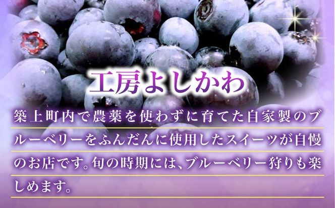 ふわふわのシフォンケーキ2種セット(プレーン、紅茶)《築上町》【(有)工房よしかわ】[ABAK006]