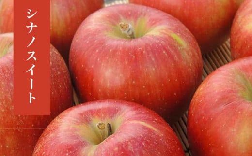  長野県産 季節の旬のりんご 約3kg 6～12玉［小布施屋］ りんご 林檎 リンゴ  果物 フルーツ 令和7年産 【2025年10月～2026年2月発送】 ［H-72］