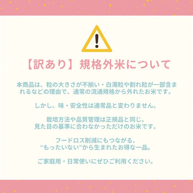 訳あり 令和7年産 こと美山米 10kg 精米 コシヒカリ にじのきらめき