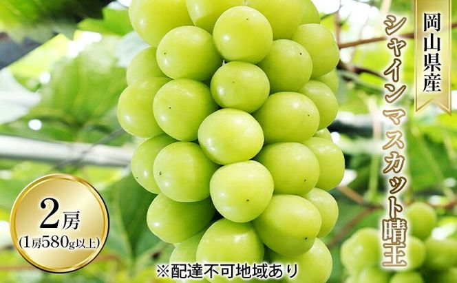 ぶどう 2026年 先行予約 シャイン マスカット 晴王 2房入り（1房 580g以上 露地栽培） ブドウ 葡萄  岡山県産 国産 フルーツ 果物 ギフト 岡山の葡萄