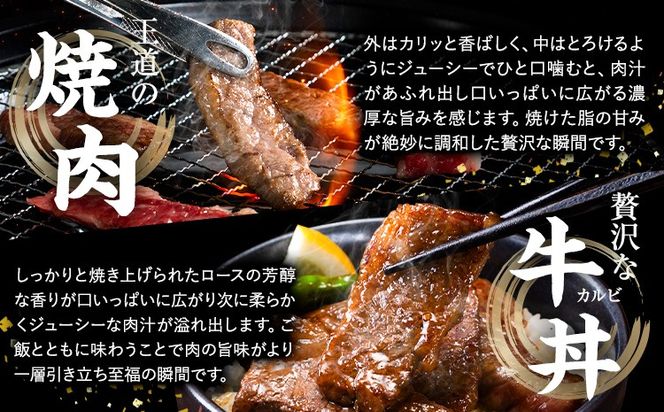 牛肉 A4～A5等級 黒毛和牛 切り落とし くまもと黒毛和牛 上 カルビ 焼肉切り落とし 300g 600g 900g《60日以内に出荷予定(土日祝除く)》熊本県 長洲町 上カルビ 焼肉用 焼肉 肉 お肉 和牛 A5 A4 300g 小分け---ng_fzyoukbyk_60d_r7_7500_300g---