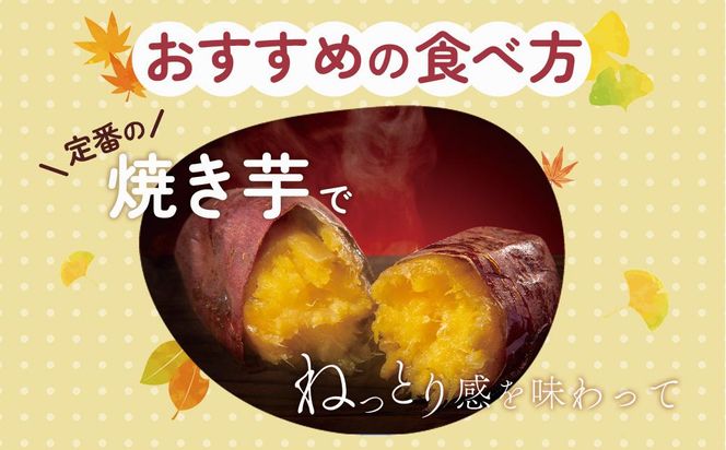 【先行予約】訳アリ！紅蜜芋　紅はるか　5kg 464686_YF002