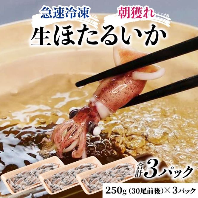 生 ホタルイカ 急速冷凍 【カネツル砂子商店】 / ほたるいか 冷凍 生 ホタルイカ刺身 ホタルイカしゃぶしゃぶ ホタルイカボイル ホタルイカ沖漬 [A-002011]