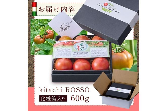 ＜先行予約受付中！2026年1月より順次発送予定＞塩熟トマト KitachiRosso (計600g) 糖度10度以上 塩トマト 塩とまと とまと トマト 野菜 大分県 佐伯市 九州産 国産 お取り寄せ 大分県 佐伯市【AK6f】【げんきファーム】