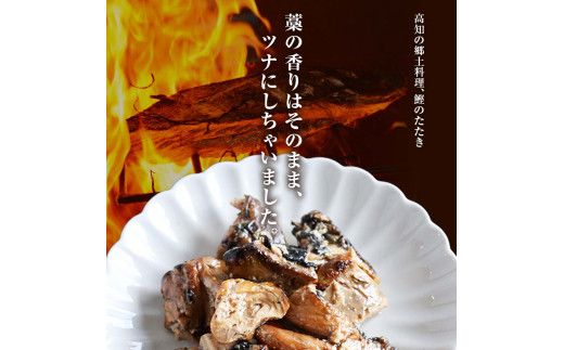 鰹ツナパウチ 100g×5袋セット 100グラム 国産 おにぎり つなまよ ツナマヨ ご飯 お弁当 魚 パスタ サラダ たんぱく質 タンパク質 おやつ かつお【企業組合　宇佐もん工房】 [BQAB064]