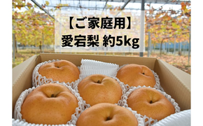 【2026年先行予約】あたご梨 ご家庭用/約５kg (岡山県産) / あたご梨 愛宕梨 梨 ご家庭用 果物 くだもの フルーツ 和梨 【KF-C008-03】