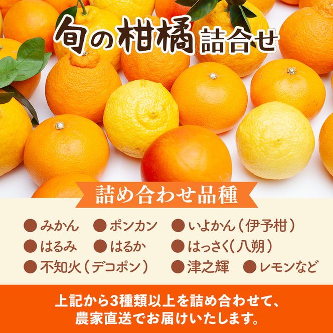 ＜1月より発送＞家庭用 柑橘詰合せ5kg+250g（傷み補償分）◇【訳あり・わけあり】【有田の春みかん詰め合わせ・フルーツ詰め合せ・オレンジつめあわせ】【光センサー選別】