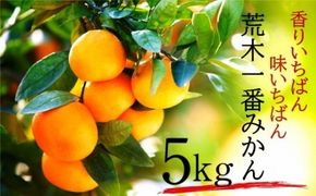 【先行予約・年明け配送】令和8年1月から出荷開始/荒木一番みかん約5kg _1271R-2