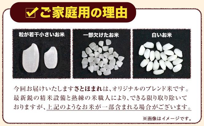 熊本県産 さとほまれ 無洗米 ご家庭用 10kg 《7-14日以内に出荷
