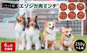 6ヵ月定期便 ペットのおやつ【エゾシカ肉のミンチ】250g×4 南富フーズ株式会社 鹿肉 ジビエ 餌 犬 猫 鹿 ペット 健康 無添加 肉 北海道 南富良野町 エゾシカ 
