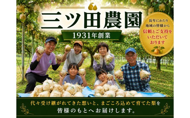 三ツ田農園 二十世紀梨(赤秀)3kg【8月下旬以降お届け】 313726_CY009