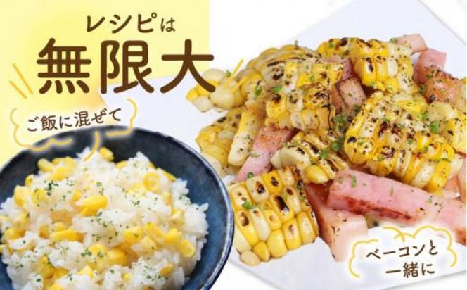 食べ応え抜群 太物2Lサイズ以上!ドルチェドリーム 約3.5kg【2027-6月上旬～2027-7月上旬配送】 372013_T006-305J