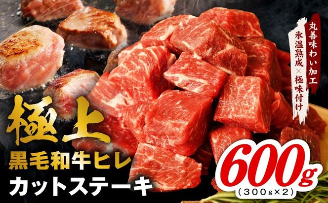 mrz0408 極上黒毛和牛ヒレ カットステーキ 合計 600g【氷温熟成×極味付け 300g×2P 牛肉 和牛 経産牛 サイコロステーキ 小分け 訳あり サイズ不揃い】