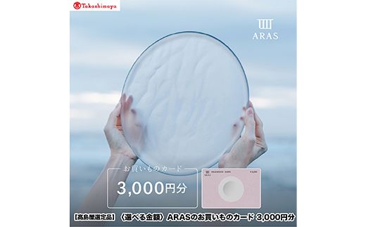 【高島屋選定品】〈選べる金額〉 ARASのお買いものカード3,000円分 ARAS エイラス 割れない うつわ 贈り物 ギフト カタログギフト 1万円 10000円 aras ふるさと納税 F6P-3349