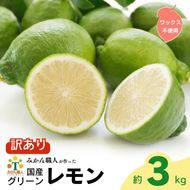 訳あり レモン （ グリーンレモン ） 3kg りのか 【発送期間:8月中旬～11月中旬】 レモン 減農薬 柑橘 檸檬 くだもの 果実 国産 愛媛 みかん職人武田屋 ブランド 愛媛県産 産直 無添加