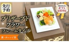 【 母の日 】 黄色 ・ オレンジ 系 プリザーブドフレーム アレンジ ギフト プレゼント 花 お祝い 贈答 記念日 [CT074ci]