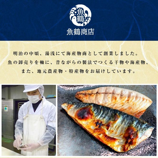 G60-T70_【定期便 全3回】魚鶴商店が選ぶ人気お魚E(銀鮭切身・サバフィレ・紅鮭切身)