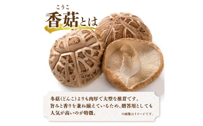 【F07020】大分県産椎茸　香菇　逸品　IP-B